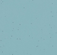 Линолеум Forbo Sphera Energetic 50217 mystic blue фото 1 | FLOORDEALER